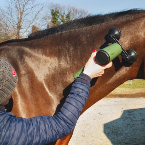 EQUIPULSER massaggio muscolare del cavallo nel tratto del collo, con testa T2