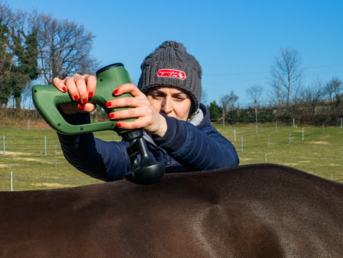 EQUIPULSER massaggio muscolare del cavallo nella regione Toraco-lombare, con testa T2