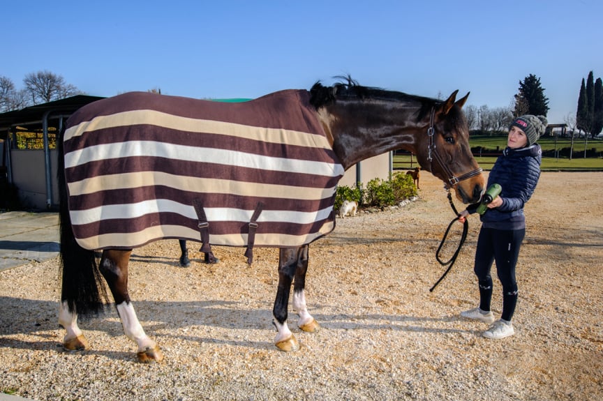 EQUIPULSER massaggiatore muscolare professionale per cavalli - esempio di utilizzo su dorso cavallo