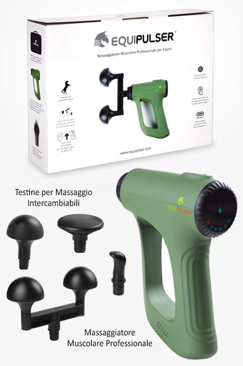Confezione EQUIPULSER il massaggiatore muscolare professionale per cavalli e altri equini