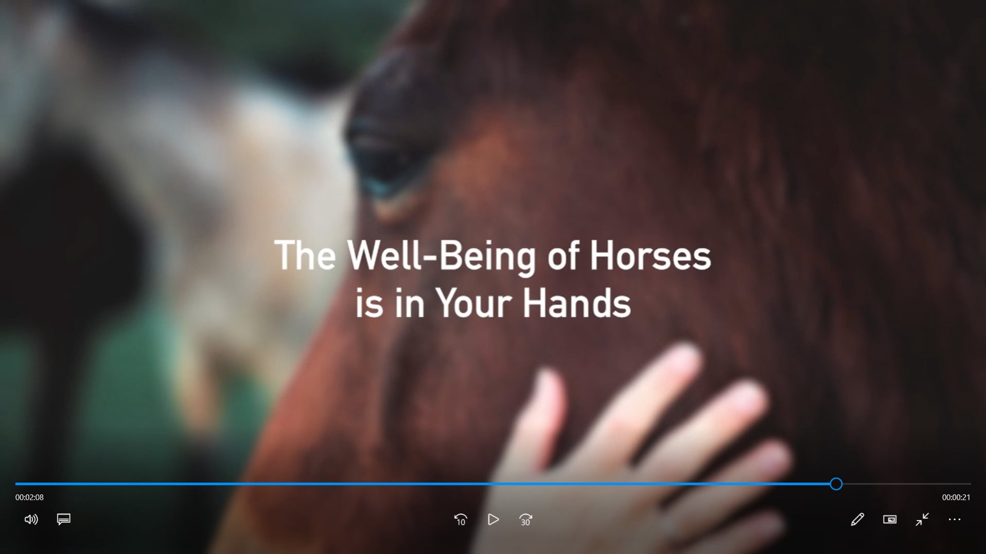 EQUIPULSER: video presentation of professional muscle massager for horses and other equids