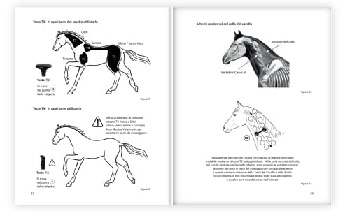 EQUIPULSER: some inside pages of the professional horse muscle massage instruction manual