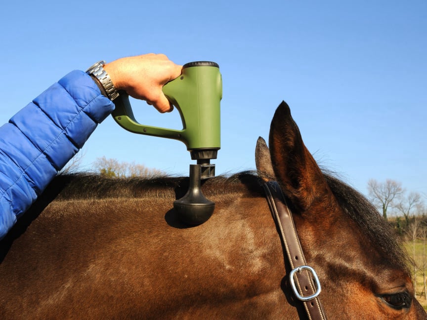 EQUIPULSER professional muscle massager for horses - example of grip during neck massage