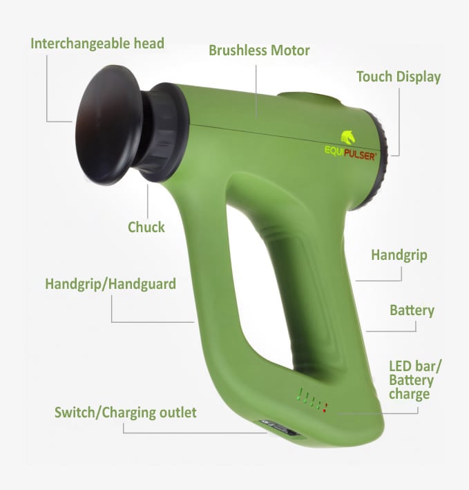 EQUIPULSER professional muscle massager for horses - technical features and main parts