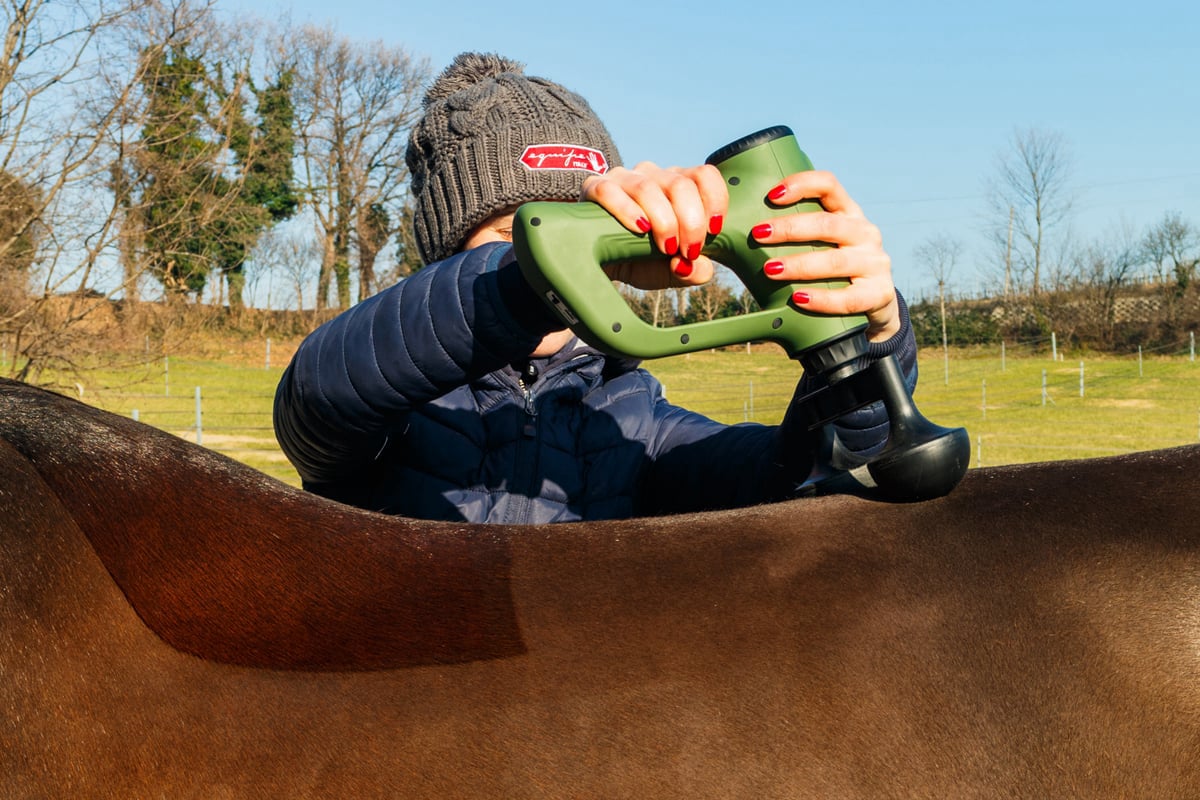 EQUIPULSER professional muscle massager for horses - example of use on horse backs